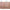 SkinCeuticals C E Ferulic