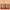 EltaMD UV Clear Deep Tinted Broad-Spectrum SPF 46