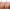 SkinCeuticals Phloretin CF
