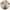 Adaptogen mushroom complex, one of the key ingredients in Hydrinity RetaXome Daily Retinal Hydrator