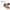 Hands dispensing PCA Skin ExLinea Pro Peptide Serum: lifts, tightens and firms the skin