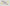 Alastin Skincare Renewal Retinol 0.5