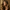 Woman with long brown hair holding Xtressé FR Concentrate Serum